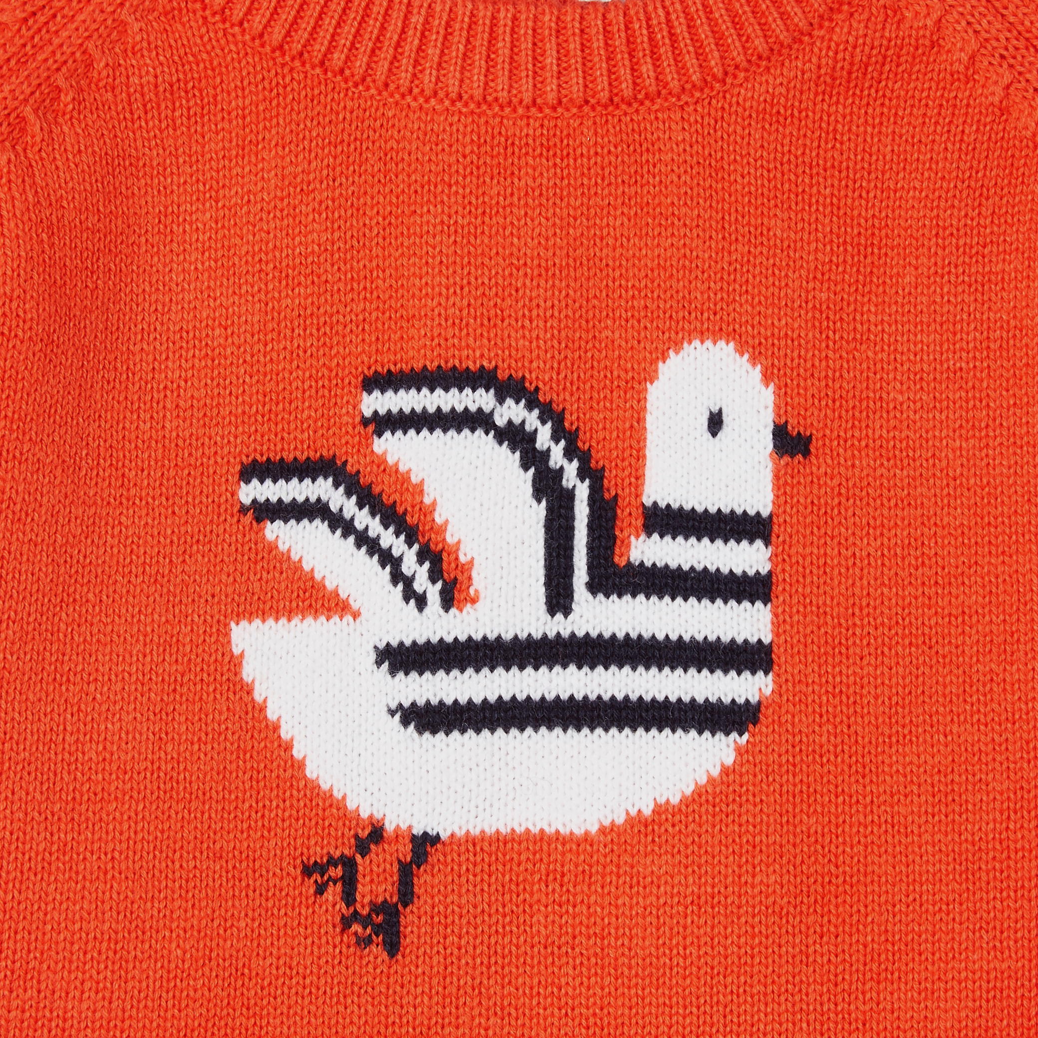 Baby boy intarsia bird sweater