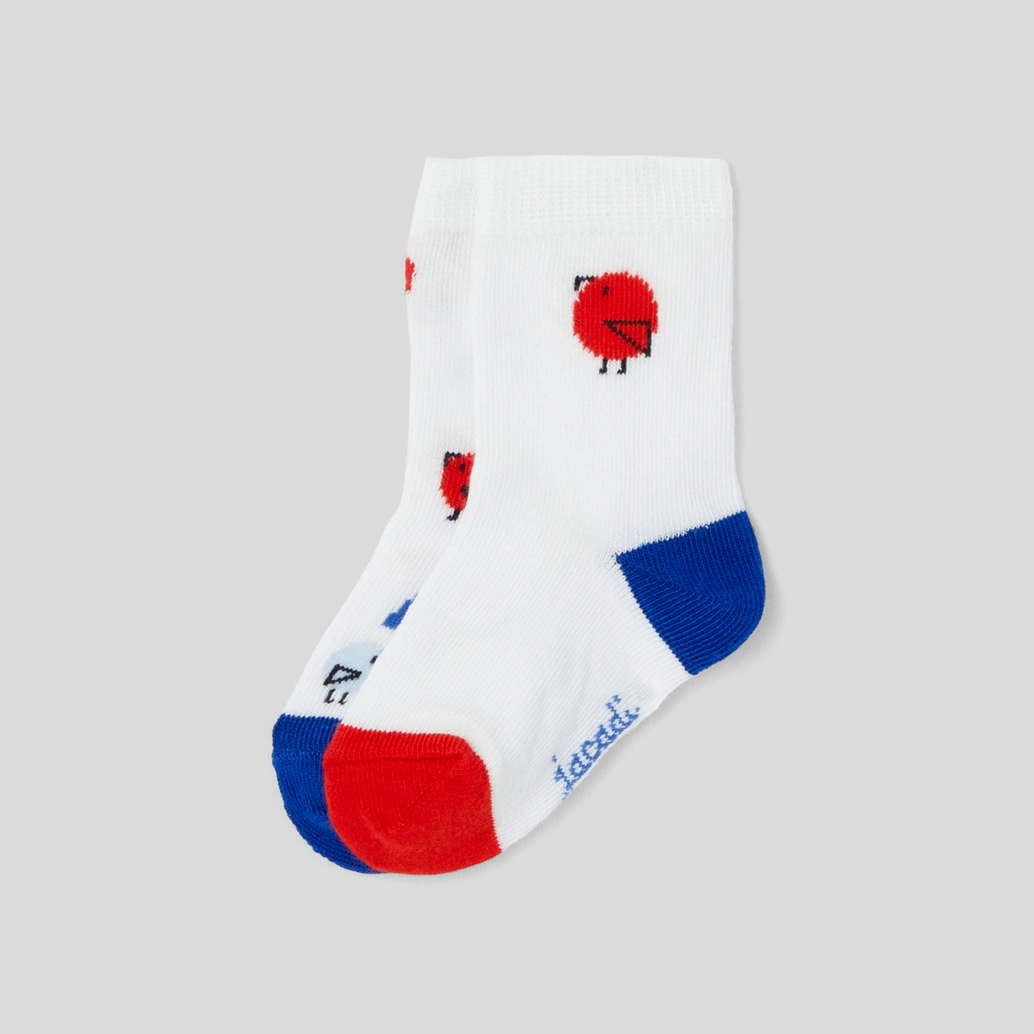 Toddler boy duo of socks