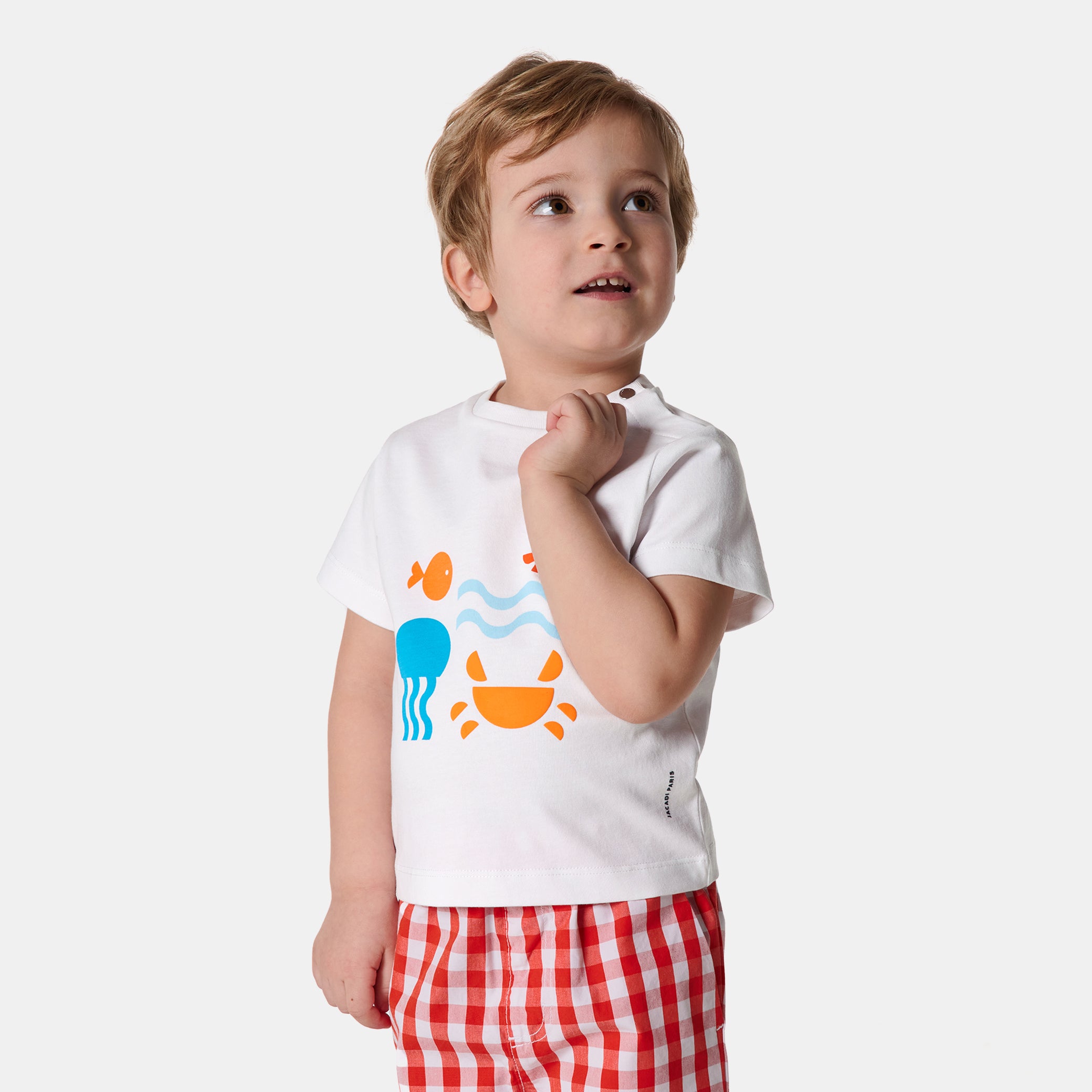 Toddler boy short sleeve t-shirt