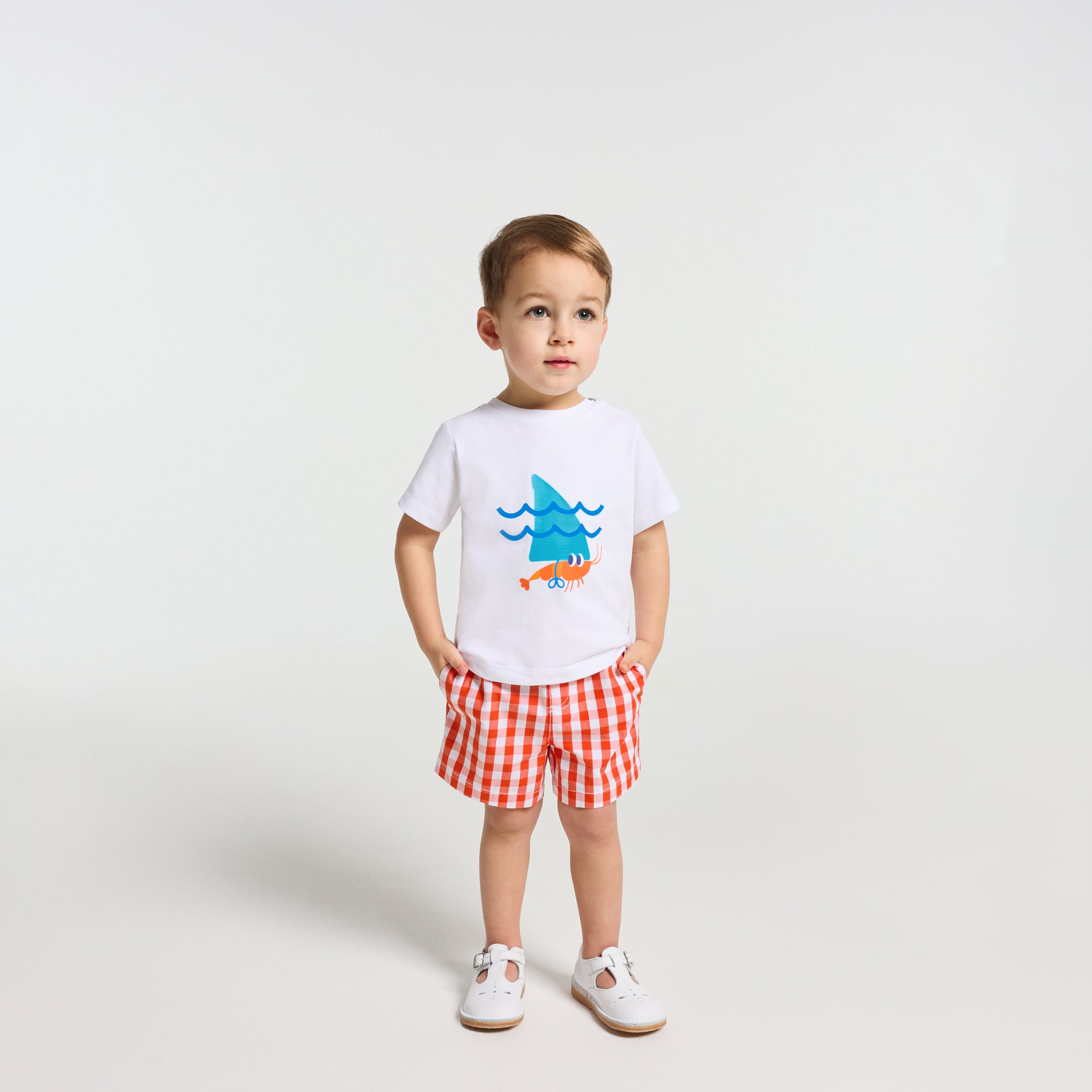 Toddler boy shorts in gingham