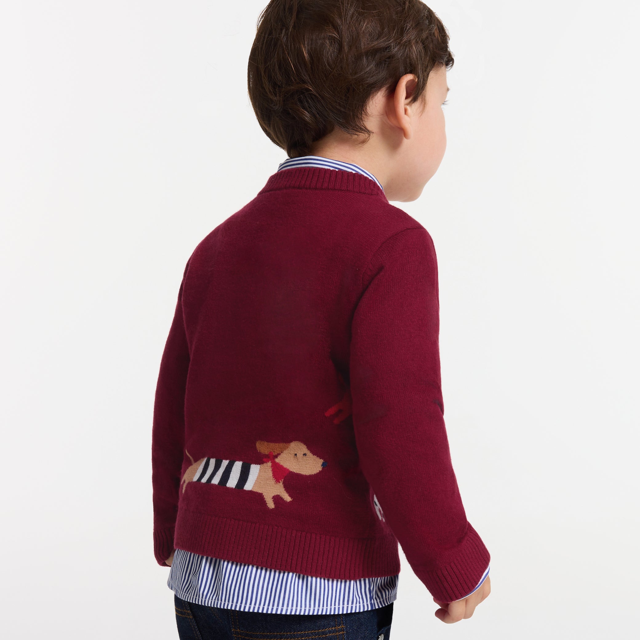 Toddler boy cotton sweater