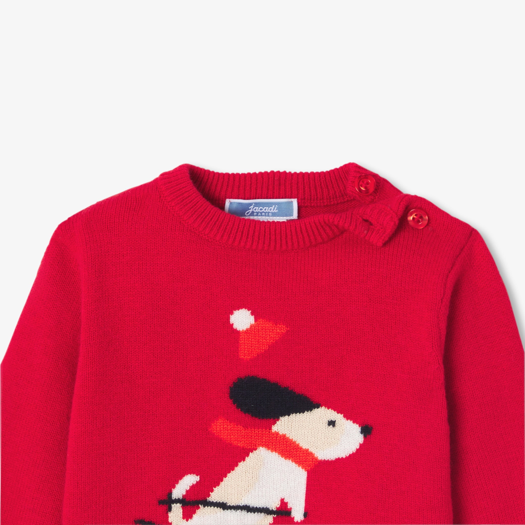 Baby boy intarsia dog sweater