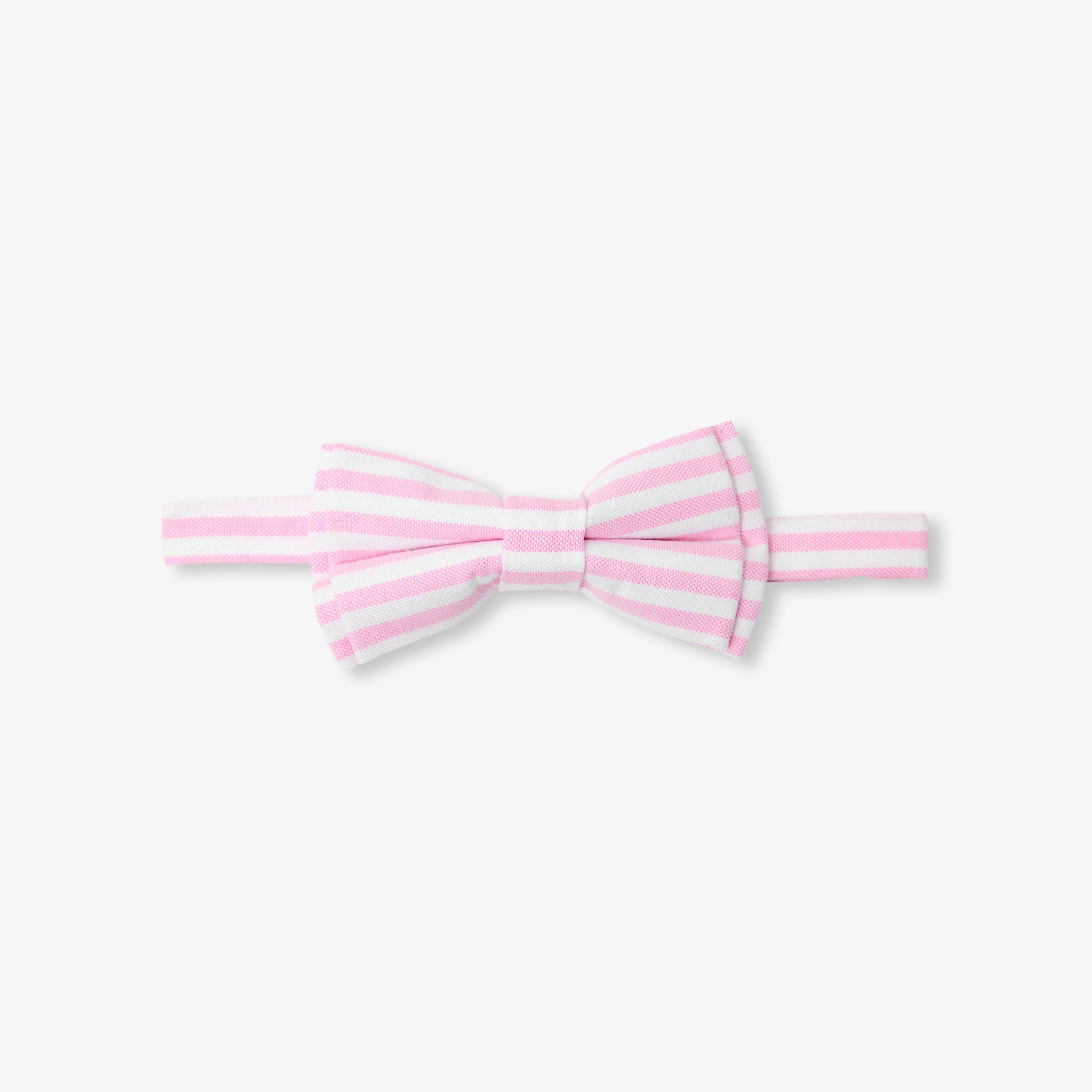 Striped oxford bow tie