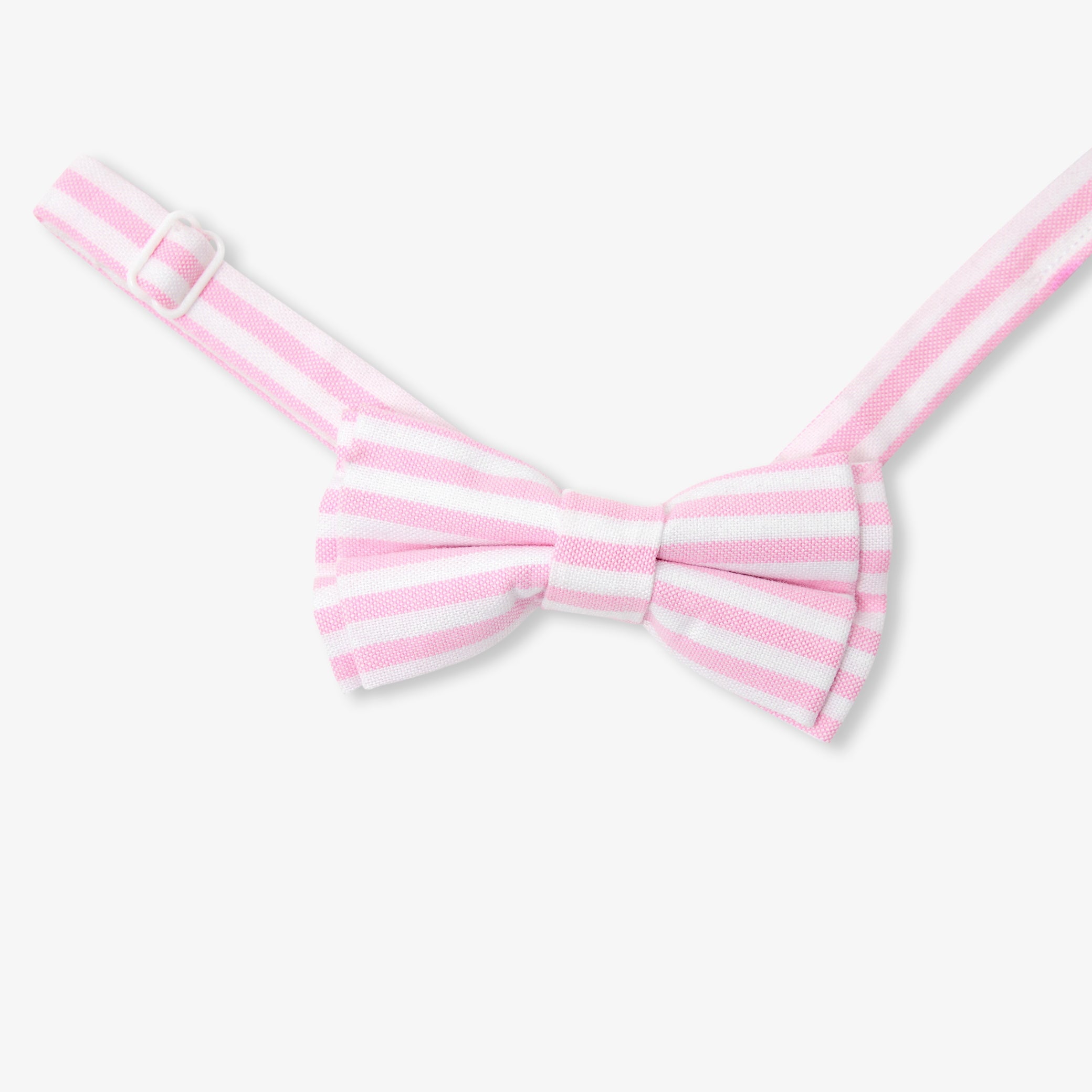 Striped oxford bow tie