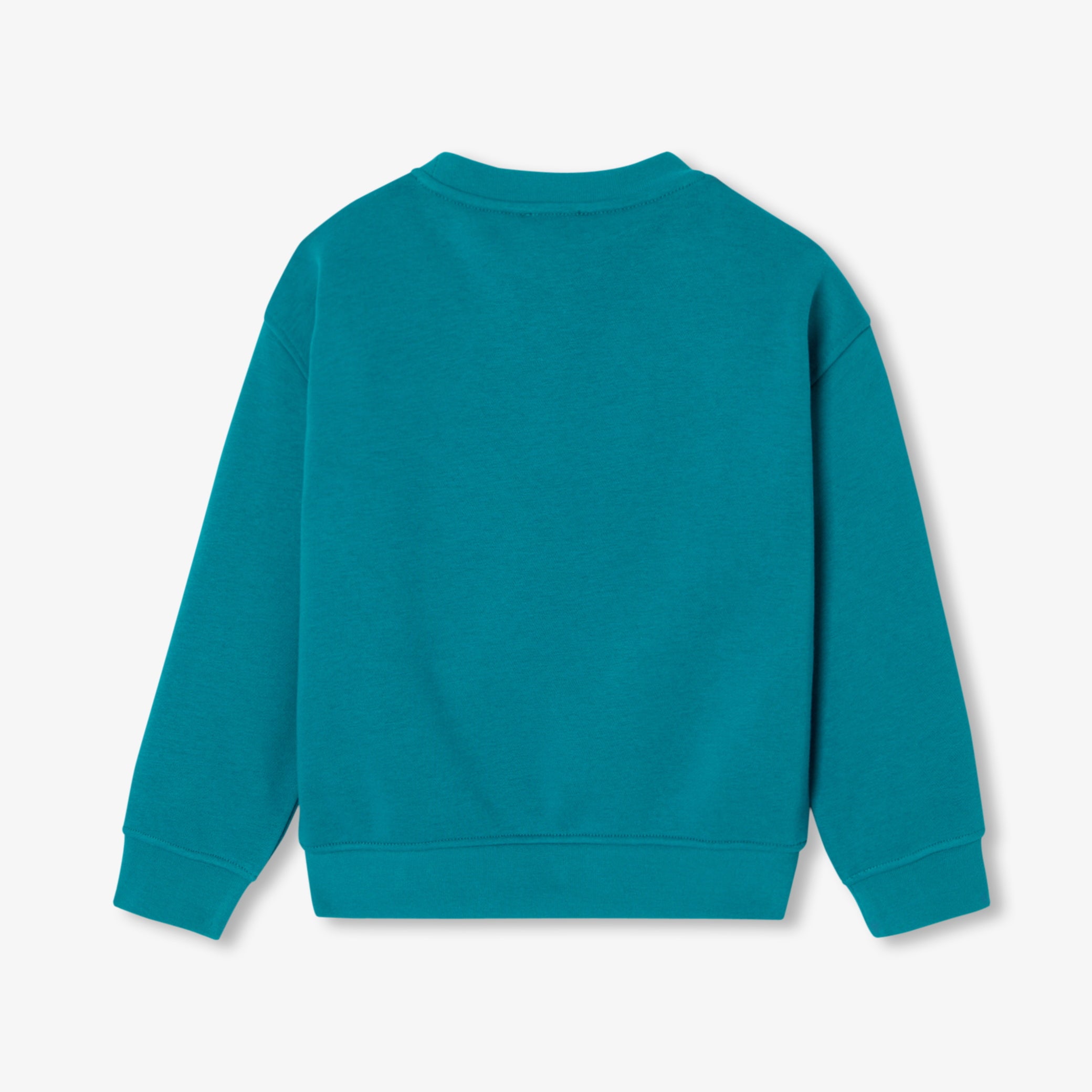 Boy fleece sweatshirt