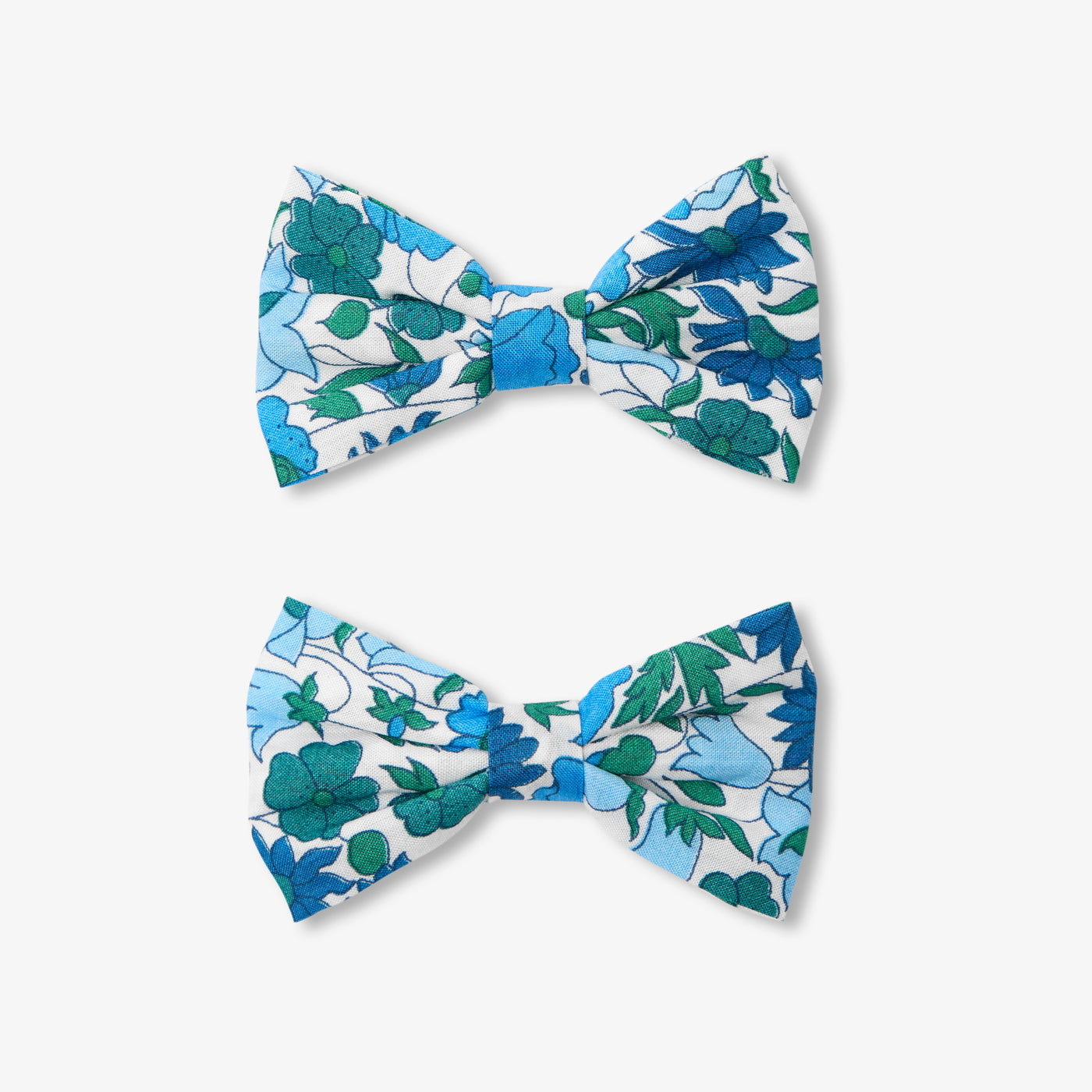 Girl hair clip duo