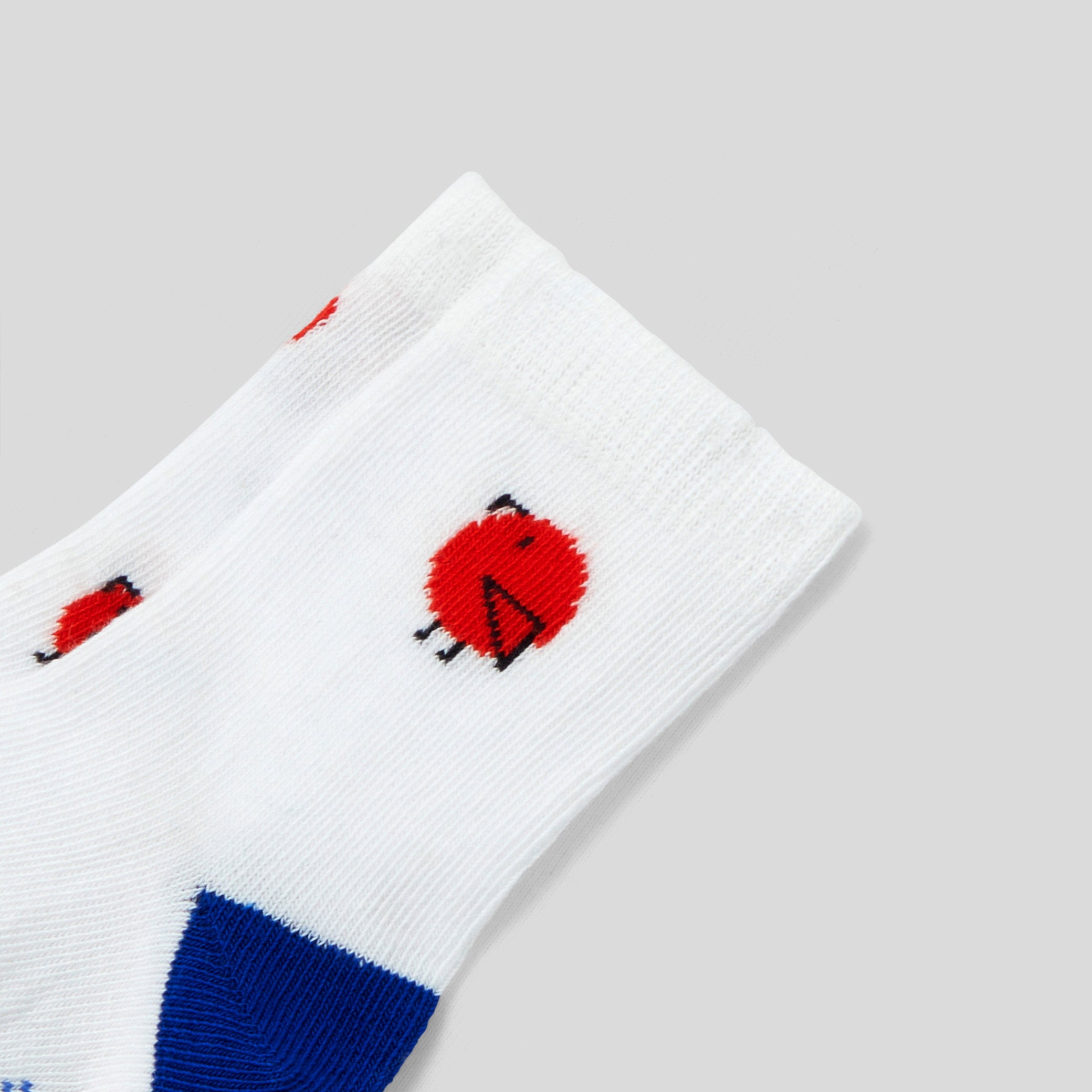 Toddler boy duo of socks