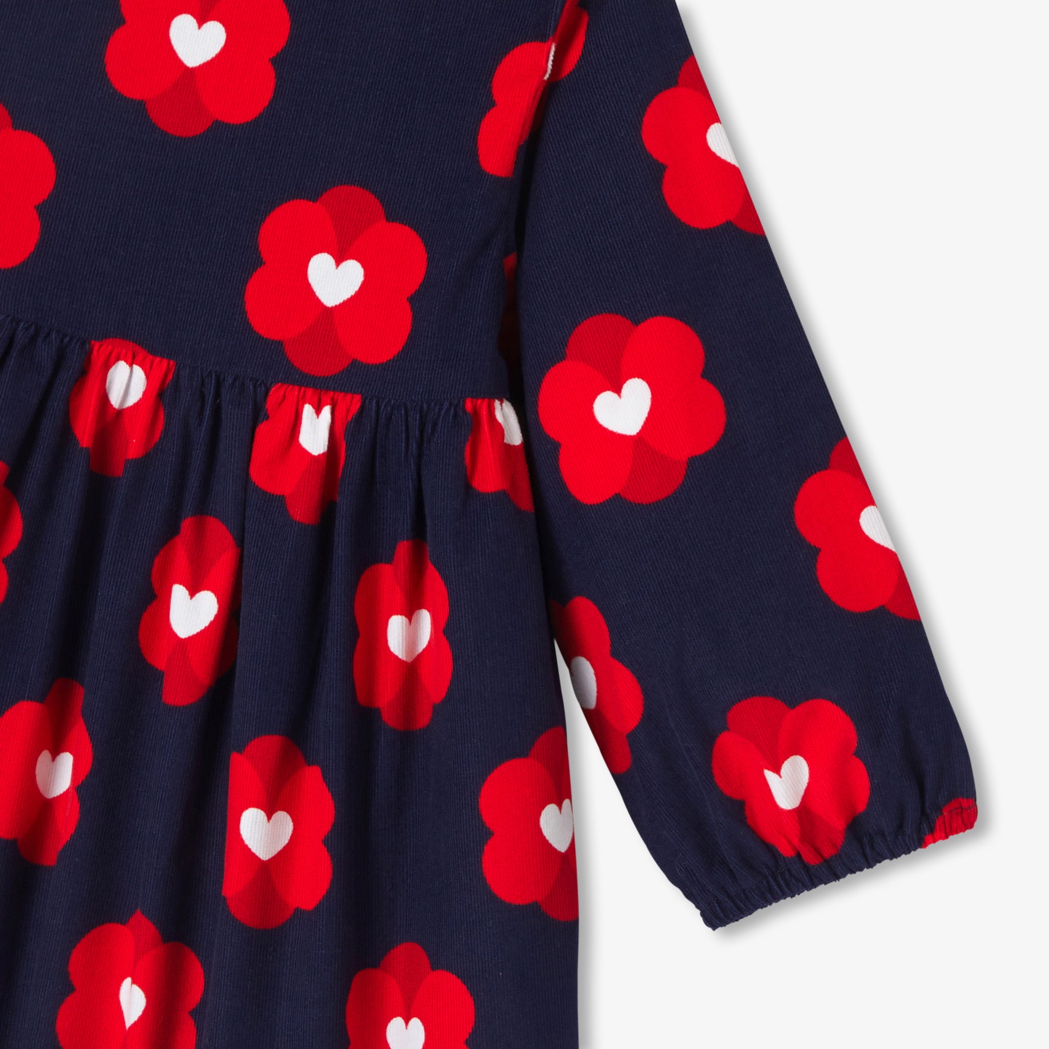 Baby girl dress in velvet milleraies