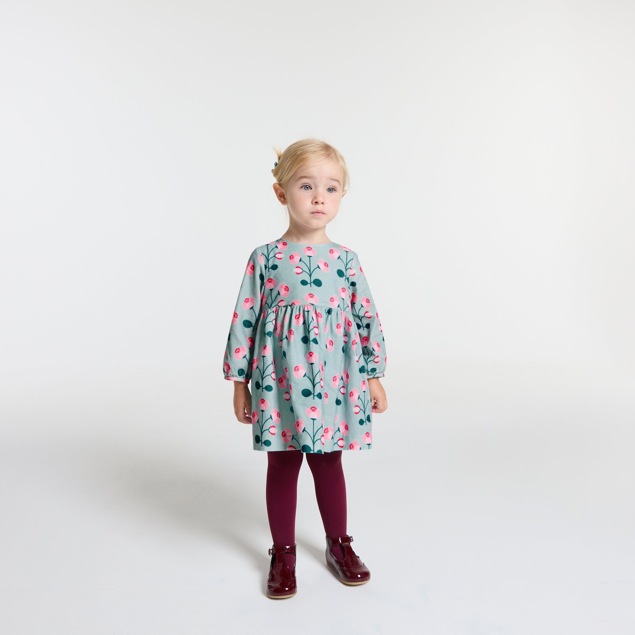 Toddler girl velvet  dress