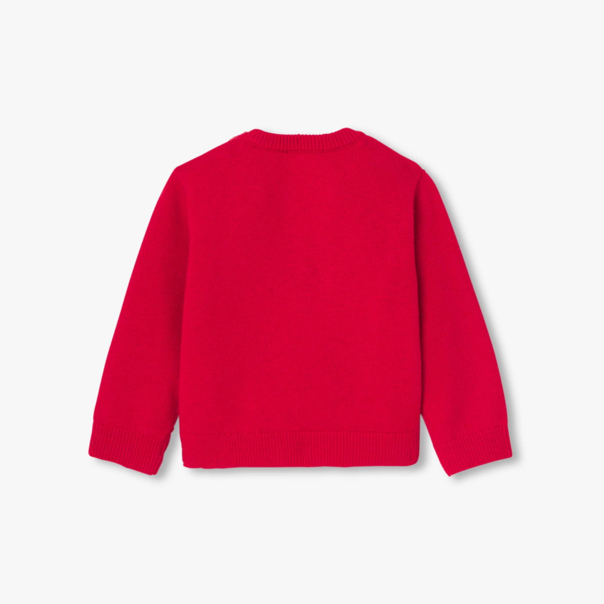 Baby boy intarsia dog sweater