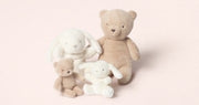 Soft toys & activity toys